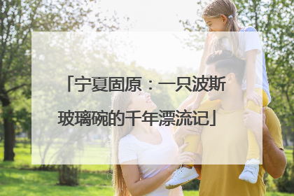 宁夏固原：一只波斯玻璃碗的千年漂流记