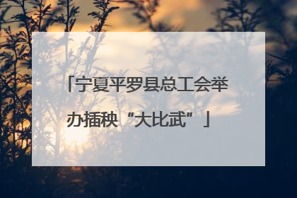 宁夏平罗县总工会举办插秧“大比武”