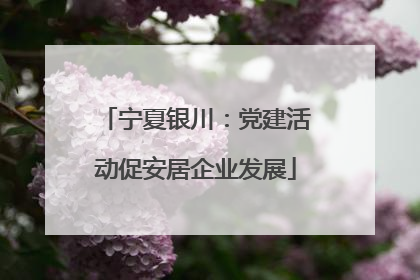 宁夏银川：党建活动促安居企业发展