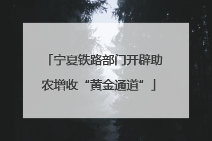 宁夏铁路部门开辟助农增收“黄金通道”