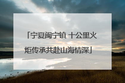 宁夏闽宁镇 十公里火炬传承共赴山海情深