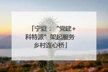 宁夏：“党建+科特派”架起服务乡村连心桥