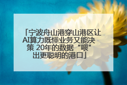 宁波舟山港穿山港区让AI算力既懂业务又能决策 20年的数据“喂”出更聪明的港口