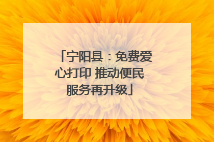 宁阳县：免费爱心打印 推动便民服务再升级