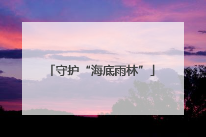 守护“海底雨林”