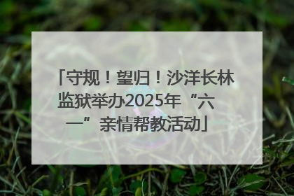 守规！望归！沙洋长林监狱举办2025年“六一”亲情帮教活动