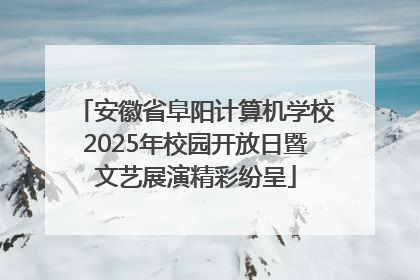 安徽省阜阳计算机学校2025年校园开放日暨文艺展演精彩纷呈