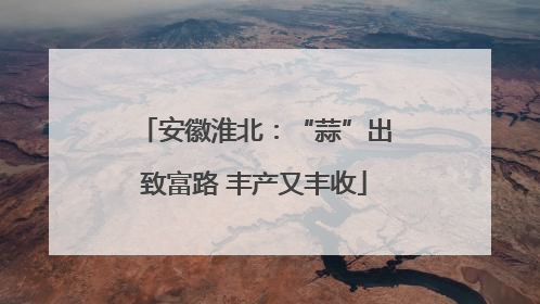 安徽淮北：“蒜”出致富路 丰产又丰收
