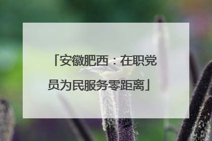 安徽肥西：在职党员为民服务零距离