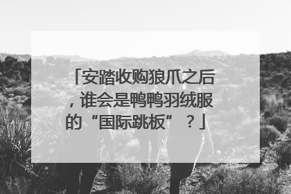 安踏收购狼爪之后，谁会是鸭鸭羽绒服的“国际跳板”？
