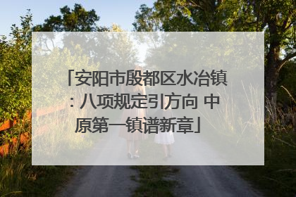 安阳市殷都区水冶镇：八项规定引方向 中原第一镇谱新章