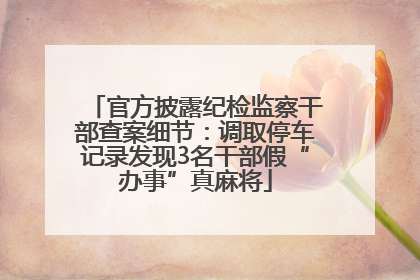 官方披露纪检监察干部查案细节：调取停车记录发现3名干部假“办事”真麻将