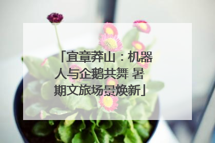 宜章莽山：机器人与企鹅共舞 暑期文旅场景焕新