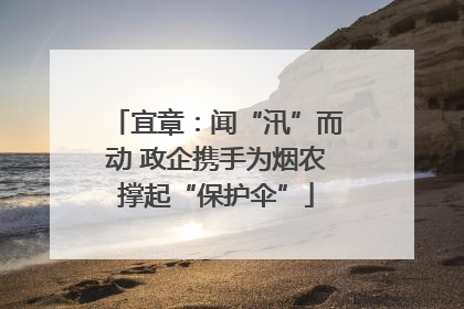 宜章：闻“汛”而动 政企携手为烟农撑起“保护伞”