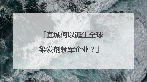 宜城何以诞生全球染发剂领军企业？