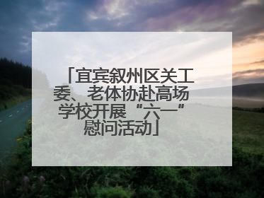 宜宾叙州区关工委、老体协赴高场学校开展“六一”慰问活动