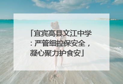 宜宾高县文江中学：严管细控保安全，凝心聚力护食安