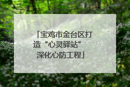 宝鸡市金台区打造“心灵驿站” 深化心防工程