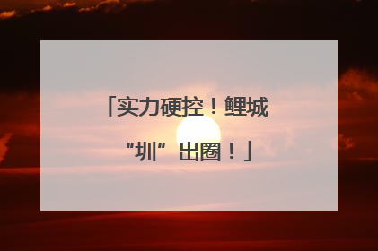 实力硬控！鲤城“圳”出圈！