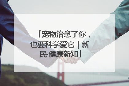宠物治愈了你，也要科学爱它｜新民·健康新知