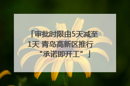 审批时限由5天减至1天 青岛高新区推行“承诺即开工”