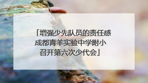 增强少先队员的责任感 成都青羊实验中学附小召开第六次少代会
