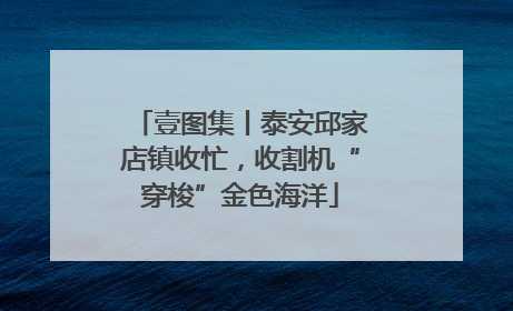 壹图集丨泰安邱家店镇收忙，收割机“穿梭”金色海洋