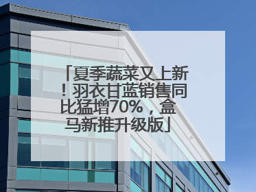夏季蔬菜又上新！羽衣甘蓝销售同比猛增70%，盒马新推升级版