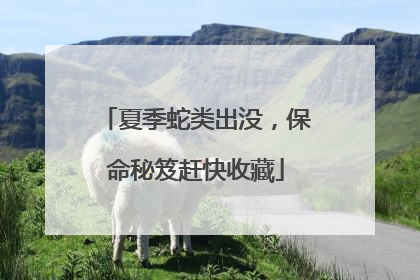夏季蛇类出没，保命秘笈赶快收藏