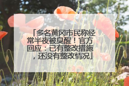 多名黄冈市民称经常半夜被臭醒！官方回应：已有整改措施，还没有整改情况