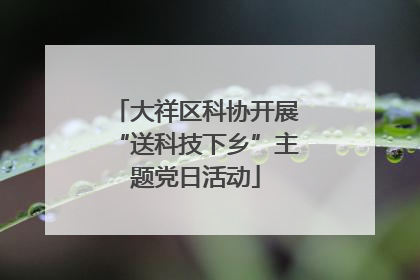 大祥区科协开展“送科技下乡”主题党日活动