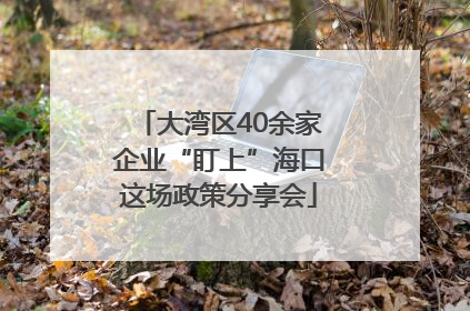 大湾区40余家企业“盯上”海口这场政策分享会