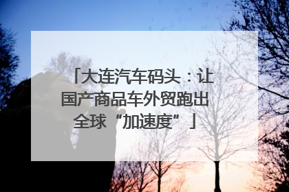 大连汽车码头：让国产商品车外贸跑出全球“加速度”