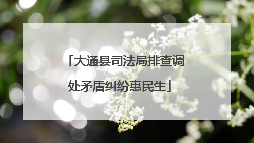 大通县司法局排查调处矛盾纠纷惠民生