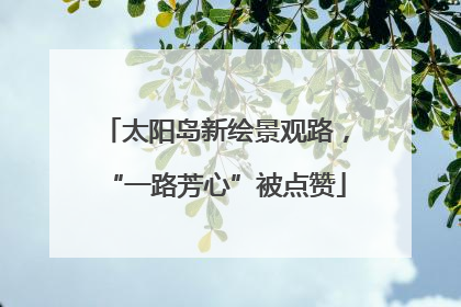 太阳岛新绘景观路，“一路芳心”被点赞