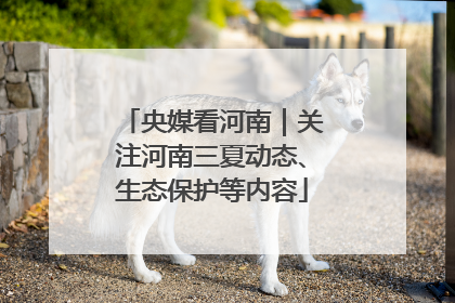 央媒看河南｜关注河南三夏动态、生态保护等内容