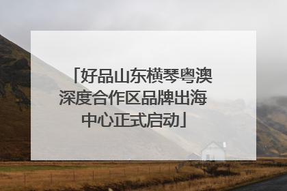 好品山东横琴粤澳深度合作区品牌出海中心正式启动