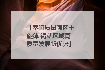奏响质量强区主旋律 铸就区域高质量发展新优势
