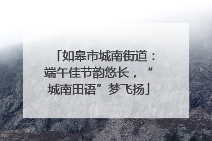 如皋市城南街道：端午佳节韵悠长，“城南田语”梦飞扬