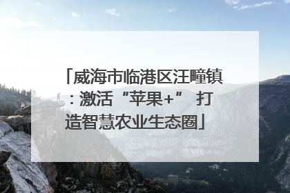 威海市临港区汪疃镇：激活“苹果+” 打造智慧农业生态圈