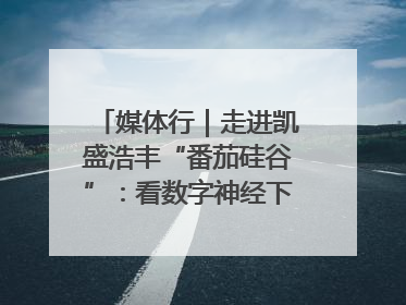 媒体行｜走进凯盛浩丰“番茄硅谷”：看数字神经下的精准农业