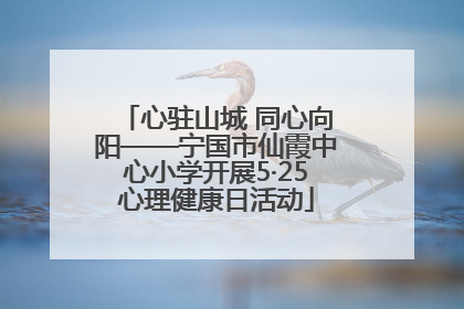 心驻山城 同心向阳——宁国市仙霞中心小学开展5·25心理健康日活动
