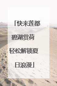 快来莲都碧湖赏荷 轻松解锁夏日浪漫