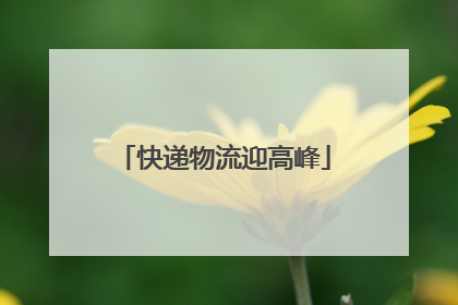 快递物流迎高峰