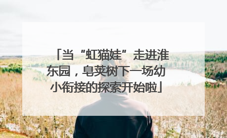 当“虹猫娃”走进淮东园，皂荚树下一场幼小衔接的探索开始啦