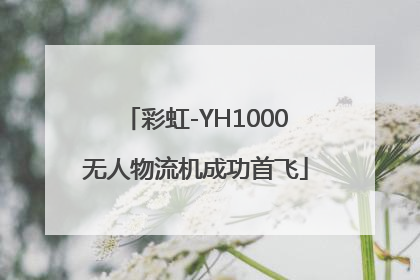 彩虹-YH1000无人物流机成功首飞