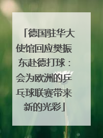 德国驻华大使馆回应樊振东赴德打球：会为欧洲的乒乓球联赛带来新的光彩