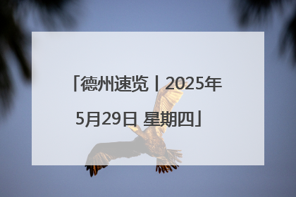 德州速览丨2025年5月29日 星期四