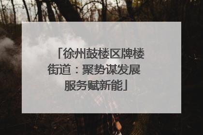 徐州鼓楼区牌楼街道：聚势谋发展 服务赋新能