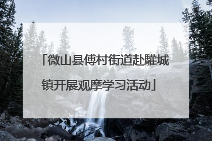 微山县傅村街道赴驩城镇开展观摩学习活动